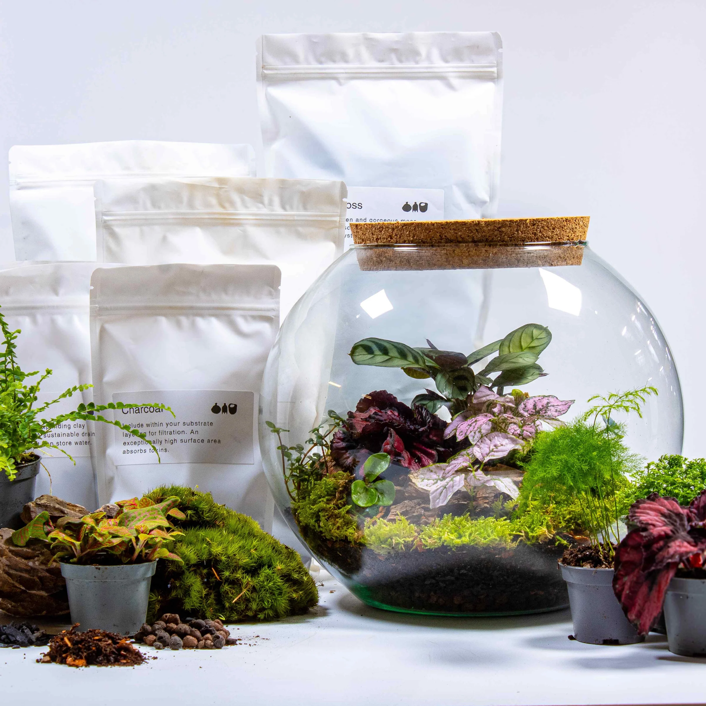 Bring the Wild Indoors